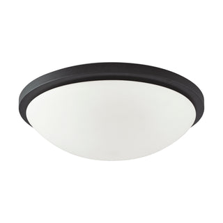 LED BUTTON BL 17" FLUSH
