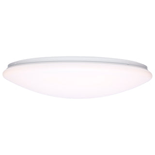 19" LED CLOUD FIXTURE