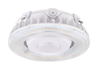 100W LED CANOPY LIGHT