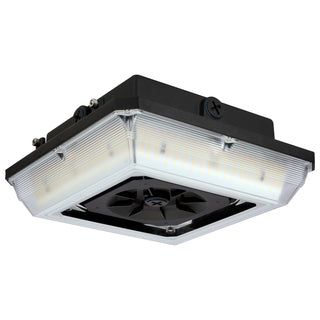LED WIDE BEAM ANGLE CANOPY