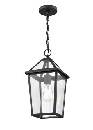 Eston 1-Light Outdoor Hanging Lantern Textured Black