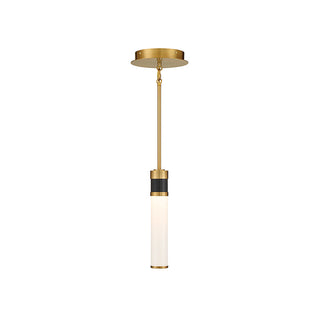 Abel LED Mini-Pendant in Matte Black with Warm Brass Accents Matte Black with Warm Brass Accents