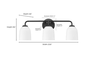 Norah 3-Light Vanity Brushed Nickel