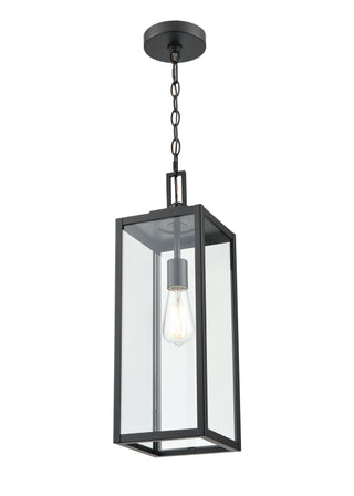 1-Light Outdoor Hanging Lantern - Powder Coated Black