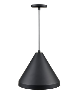 R Series 1-Light Cord Hung Wide Cone Satin Black