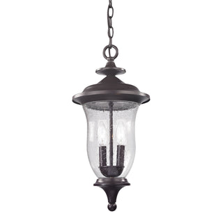 Trinity 9'' Wide 2-Light Outdoor Pendant - Oil Rubbed Bronze