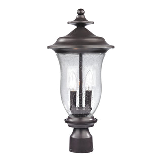 Trinity 20'' High 2-Light Outdoor Post Light - Oil Rubbed Bronze