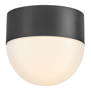 Bardi Small Flush Mount in Black