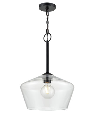 Morbelle 1-Light Pendant Light Matte Black