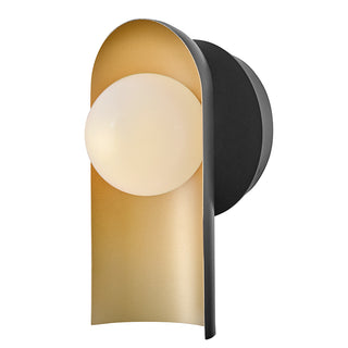 Zuri Medium Single Light Sconce in Black