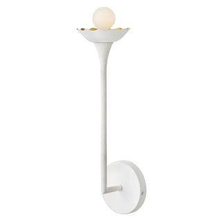 Darla Medium Single Light Sconce in Textured Plaster