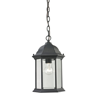 Spring Lake 8'' Wide 1-Light Outdoor Pendant - Matte Textured Black