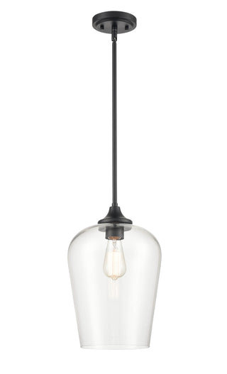 Ashford 1-Light Mini-Pendant - Matte Black