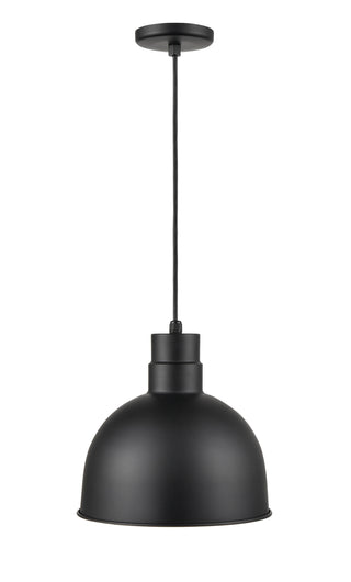 R Series 1-Light Cord Hung LED Deep Bowl Satin Black