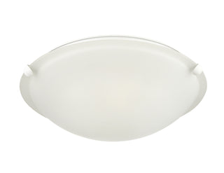 2-Light Flushmount Ceiling Light Matte White