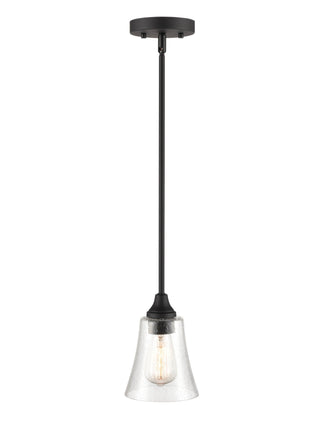 Caily 1-Light Pendant light Matte Black