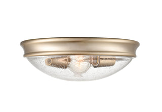 2-Light Flushmount Lighting Modern Gold