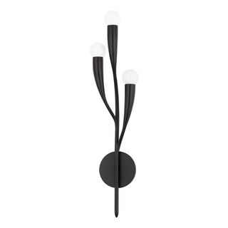 Labra Wall Sconce with Aged Iron Finish