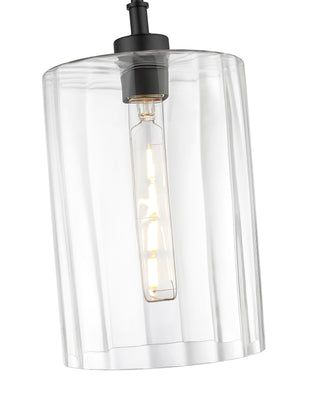 Chastine 1-Light Pendant Light Matte Black