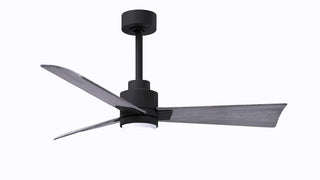 42 Inch Alessandra series  3-blade transitional ceiling fan. Multiple finish options to choose from.