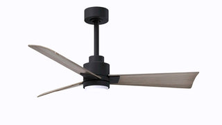 42 Inch Alessandra series  3-blade transitional ceiling fan. Multiple finish options to choose from.