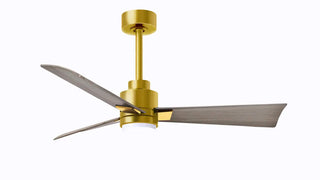 42 Inch Alessandra series  3-blade transitional ceiling fan. Multiple finish options to choose from.