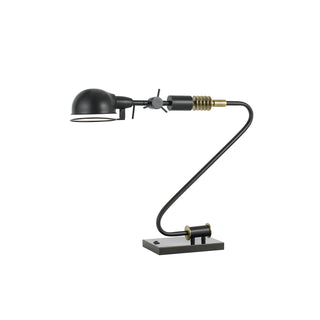 60W Adjustable Desk Lamp