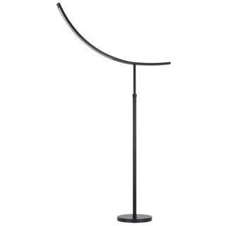 17W, 3K, 1200 Lumen Metal Intergrated Led Adjustable Floor Lamp