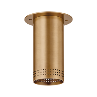 Berg Flush Mount with PATINA BRASS Finish