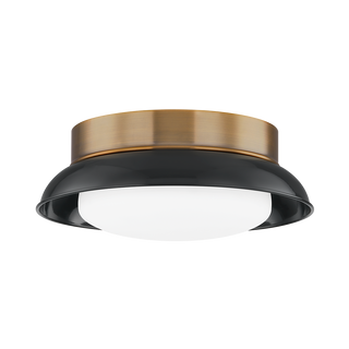 ARNIE Flush Mount with PATINA BRASS Finish
