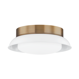 ARNIE Flush Mount with PATINA BRASS Finish