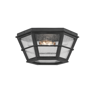 Lake County Flush Mount with FRENCH IRON Finish