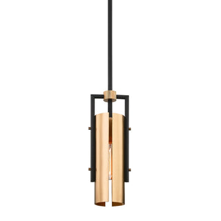 Emerson Pendant with SOFT OFF BLACK/BRUSHED BRASS Finish