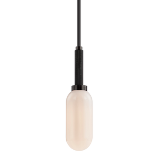 Annex Pendant with ANODIZED BLACK Finish