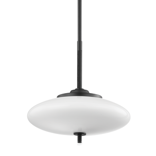 Fallon Pendant with SATIN BLACK/BLACK LEATHER Finish