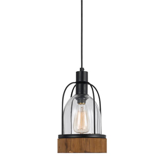 60W Beacon Glass/Wood Pendant (Canopy Included)