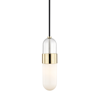 Emilia Pendant Polished Brass