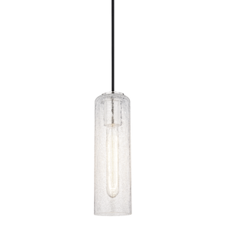 Skye Pendant in Polished Nickel Finish