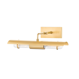 Raelynn Picture Light in Aged Brass Finish