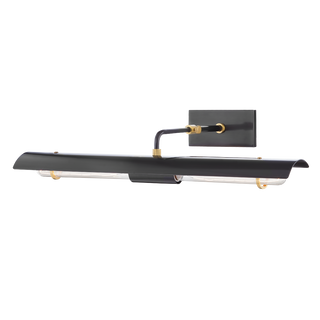 Raelynn Picture Light in Aged Old Bronze Finish