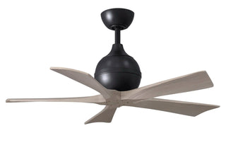 Irene-5 Series 42 Inch 5 blade paddle fan. Multiple Finish Options to choose from.