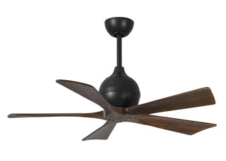 Irene-5 Series 42 Inch 5 blade paddle fan. Multiple Finish Options to choose from.