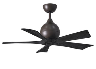 Irene-5 Series 42 Inch 5 blade paddle fan. Multiple Finish Options to choose from.