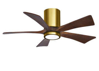 Irene-5HLK Series 42 Inch 5 blade paddle fan. Multiple Finish Options to choose from. Brushed Brass / Walnut Finish