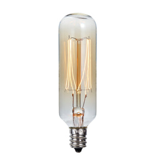 40W T Type Edison Style Incandescent Bulb