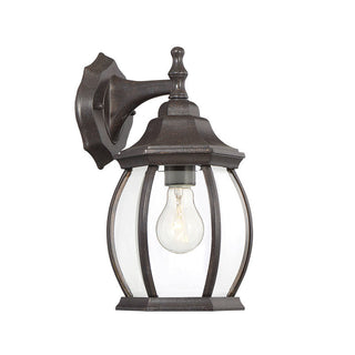 1-Light Outdoor Wall Lantern in Rustic Bronze Rustic Bronze