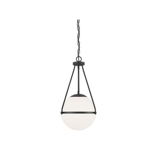 1-Light Pendant in Matte Black Matte Black