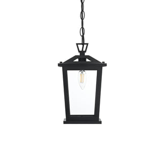 Berks 7 inch Outdoor Pendant in Black