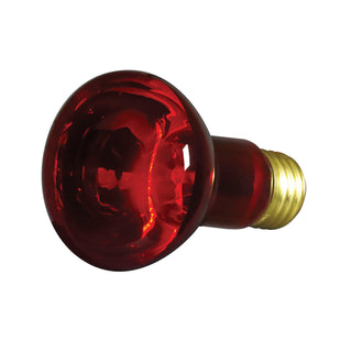 Incandescent Reflector Bulb: 50W;  R20;  ;  Red;  130V;  E26 Medium Base