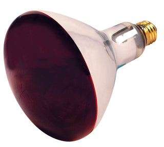 Incandescent Reflector Bulb: 250W;  R40;  ;  Red Heat;  120V;  E26 Medium Base